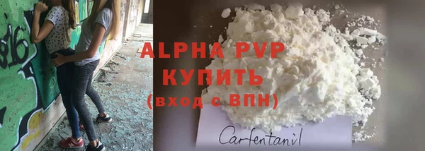 ECSTASY Сосновый Бор