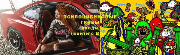 амф Сосновоборск