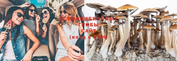 ECSTASY Сосновый Бор