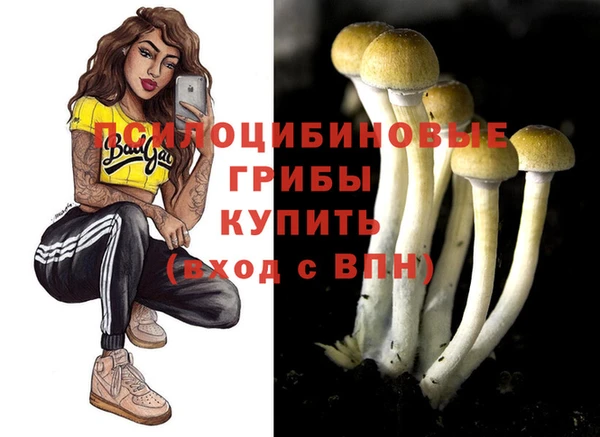 амф Сосновоборск