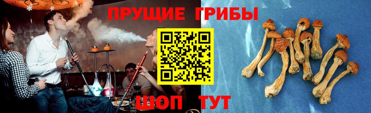Каспийск  Галлюциногенные грибы Psilocybe  Вход с VPN 